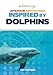 Awesome Innovations Inspired by Dolphins (Biomimicry)
