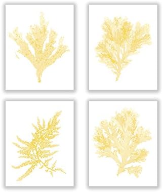Set of Four Seaweed Prints No. 05, 07, 14, and 22 in a hawthorne yellow tone, Coastal Decor Print Set