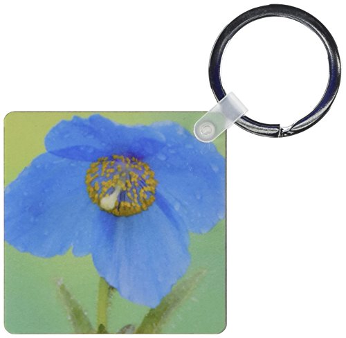 Porte-clés Himalaya Fleur de coquelicot 3dRose 6 cm
