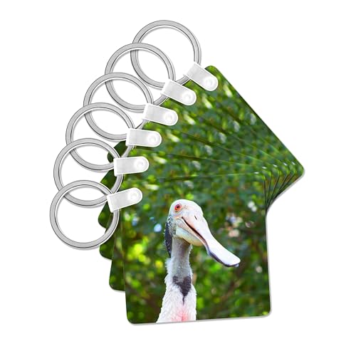 3dRose, rosetta spoonbill from underneath, set of 6 Key Chains