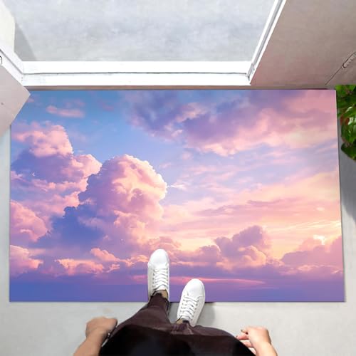 Paillasson retient la poussière tapis de porte extérieur 40x60