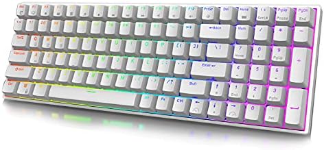 سیمی RGB RK ROYAL KLUDGE RK100 2.4G 