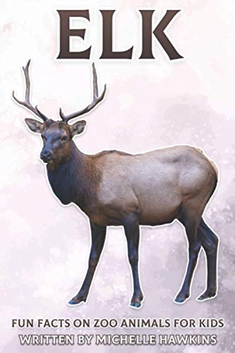 Elk: Fun Facts on Zoo Animals for Kids #27