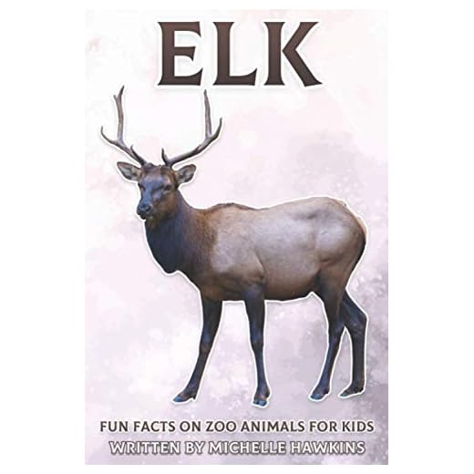 Elk: Fun Facts on Zoo Animals for Kids #27