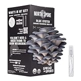 North Spore Organic Blue Oyster Mushroom Grow Kit, 4 lbs