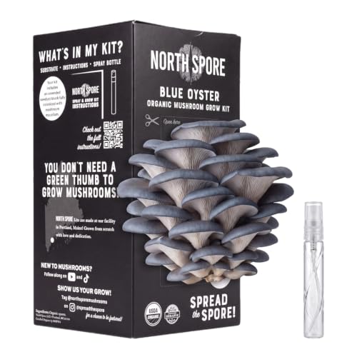 North Spore Organic Blue Oyster Mushroom Grow Kit