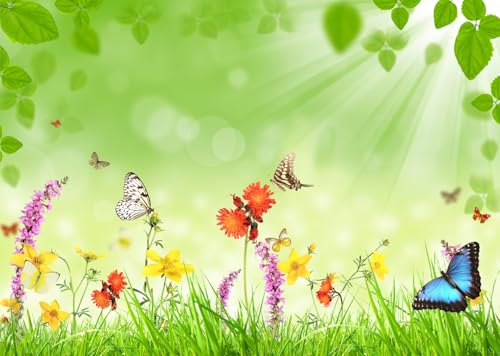 CORFOTO 3x2.5m Toile de Fond de Prairie printanière Toile de Fond de Fleur de Jardin printanier Herbe Verte Papillon Pays des Merveilles Fleurons d'herbe Arrière-Plan de Photographie Décor de fête