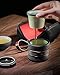 DehuaYao Travel Tea Set Teapot with Ceramic Infuser and 2 Ceramic Teacups,Portable with Carrying Case (Black)