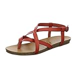  Blowfish Damen Granola-b Sandale, Masala Exotic Dyecut/Dyecut, 43 EU