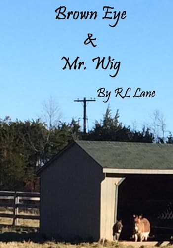 Brown Eye & Mr. Wig