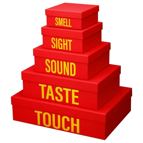 Caixas de presente 5 sentidos