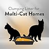 ARM & HAMMER Hardball Lightweight Platinum Multi-Cat Clumping Cat Litter Odor Control, Easy No-Mess Scooping, Garden Bloom Scent, 8.5 Lbs. #4
