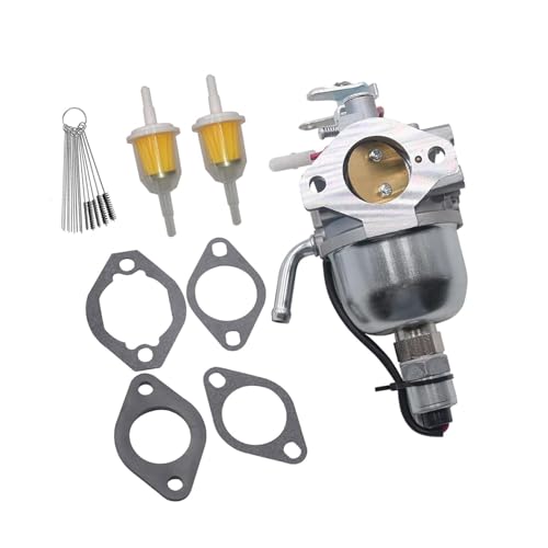 Carburateur 825656 idéal pour entretenir le jardin sans panne