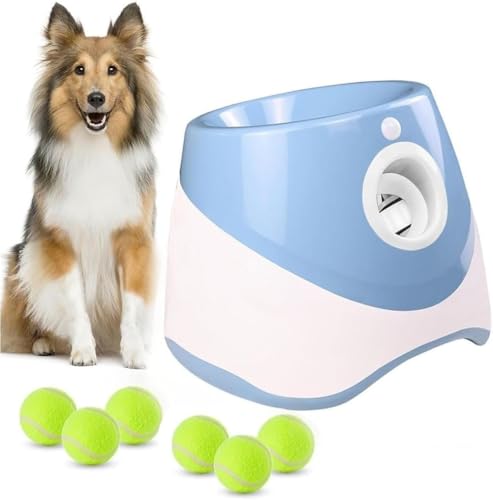 DancJulie{[`[   {[  {[ {[`[ @ 3ނ̔ˋ ejX{[3/6/9t  mߋ XgX ^sP ^`^p  Op (,6̃{[)