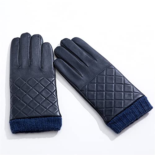 [QXGTJYUN] v Y YU[O[u~̒g^b`XN[Ỏ^]n h ʋ oCNO[u(XL)