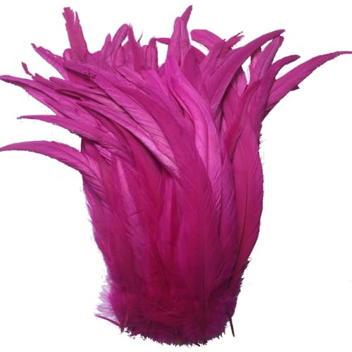 Sowder - Plumes de queue de coq - De 27 à 35 cm - Lot de 50
