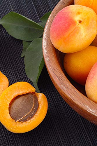 Albero di Albicocco pianta di Albicocco varietà Antonio Errani in vaso Età 2 anni pianta di albicocco vera venduta da eGarden.store