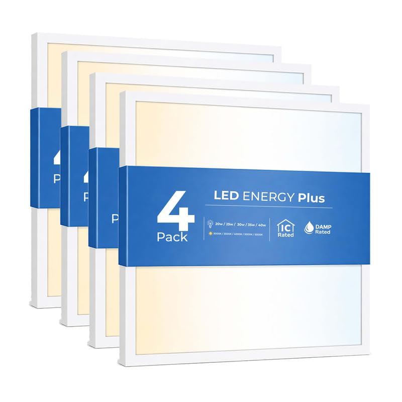 LED ENERGY PLUS 4-Pack 2x2 Panel