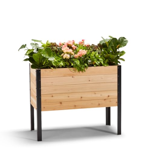 EARTH ELEVATED 100% Canadian Cedar Wood Elevated Garden Bed for Gardening - Planter Pot to Grow Herbs Flowers, and Vegetables at Home Indoor and Outdoor Patio Balcony Deck - 18” x 36” x 30”