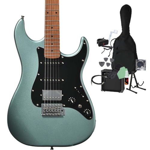 GS-2DX RSM/M IBM �G���L�M�^�[���S��14�_�Z�b�g �yGA15II�t���z �G���L�M�^�[ ���j�o�[�X�V���[�Y