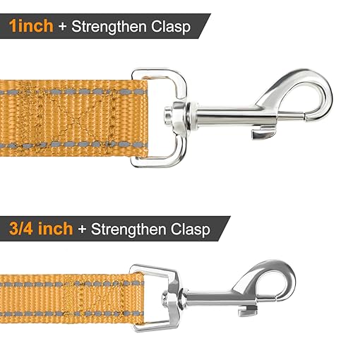 Joytale Hundeleine Kleine Hunde Leicht, Doppelseitig Reflektierende Leine Hund aus Nylon mit Gepolstertem Griff, 1,5m x 2cm, Braun