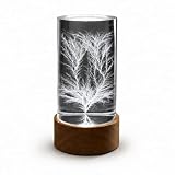 Lightning in a Bottle Art, Acrylic Cylinder Lichtenberg Figure Sculpture