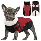 Queenmore Winter Dog Coat, Puffer Jacket with Harness Built-in for Small/Extra Small Dogs, Cold Weather Waterproof Snow Jacket - Fleece Lined, Reflective, Easy On, Adjustable, Zipper - Red/Black XS