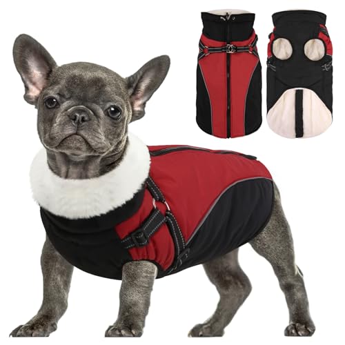 Queenmore Winter Dog Coat, Puffer Jacket with Harness Built-in for Small/Extra Small Dogs, Cold Weather Waterproof Snow Jacket - Fleece Lined, Reflective, Easy On, Adjustable, Zipper - Red/Black XS