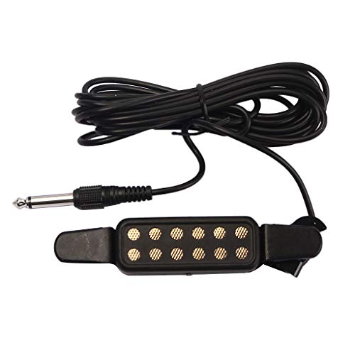 Best Sounding Acoustic Guitar Amplifier Expert Review The Modern