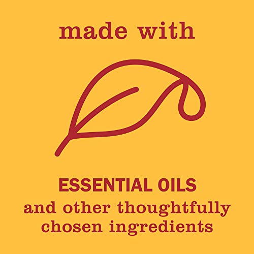 Mrs. Meyer's Hand Soap, Made With Essential Oils, Biodegradable Formula, Clementine, 12.5 Fl. Oz - Pack Of 3 #TOP5