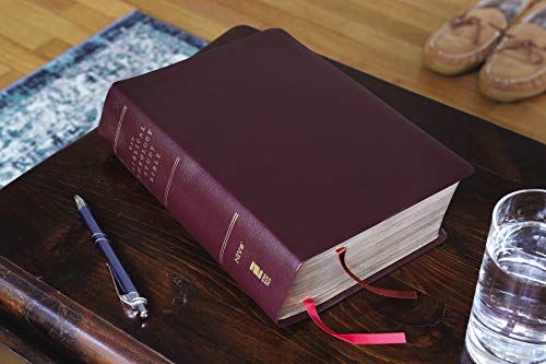 NIV, Biblical Theology Study Bible, Bonded Leather, Burgundy, Comfort Print: Follow God's Redemptiv