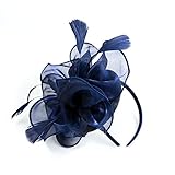 Fascinator Hut Feder Netz Schleier Party Hut H¨¹te Blume Hut mit Clip und Haarband f¨¹r Frauen
