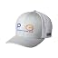 Cool Grey/Vivid Blue/Pfg Hook