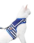 Yizhi Miaow Cat Harness and Leash for Walking Escape Proof, Adjustable Cat Vest Harness, Padded Stylish Cat Walking Jackets, Sailor Suit Navy, Large
