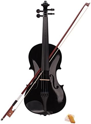 Teekland 4/4 Size Acoustic Violin for Beginner with Fiddle Case/Bow/Rosin (Black)
