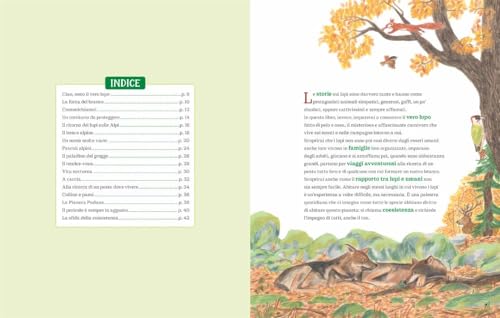 I lupi delle Alpi – vue 5