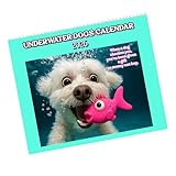 Underwater Dogs Calendar 2026 Featuring 12 Different Dog Breeds, Funny Gift for Dog Owner, New Dog Mom, Spiral Wall Calendar, Dog Lover