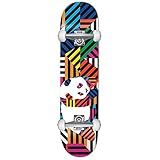 Enjoi Skateboard Panda Stripes Resin Factory Complete Multi 19,7 cm