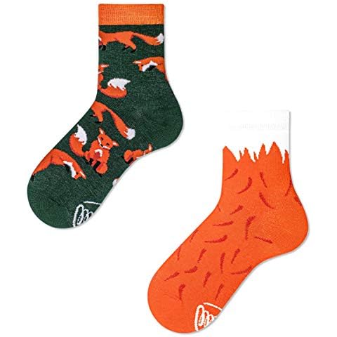 Many Mornings The Red Fox Kids Socks Cover