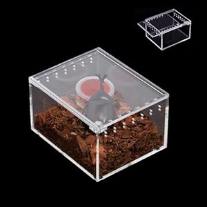 Yzhzom Insektenbox Mini Terrarium Acryl