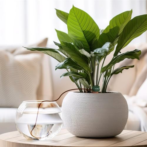 Blumat Classic Self-Watering Stakes - Automatic Drip Irrigation System for Indoor Plant Watering & Outdoor - Water Drip Solution for Potted Plants - Slow Release Stakes, 3 Pack, wo Adapter