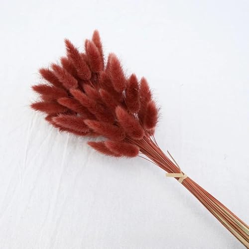 Flores secas pampas 60 pcs decoración boho marrón rojo miniatura 1