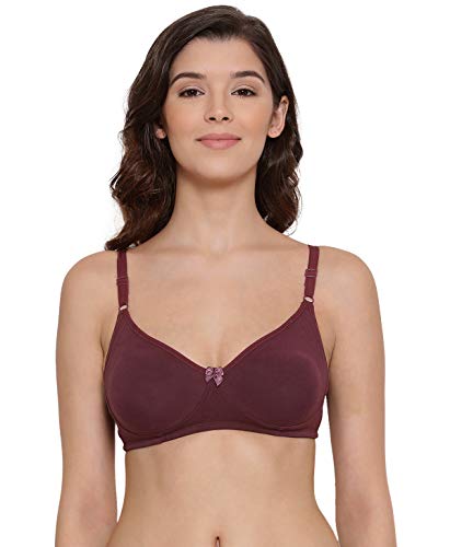 Image of Lyra Women's Moulded Encircled Bra(513) Pack of 2 White & Black,30B