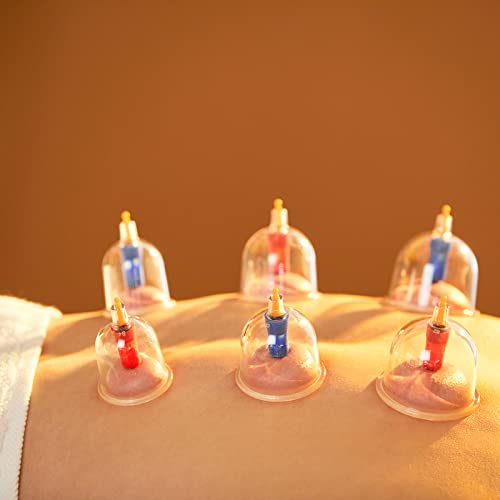 Dispositivo de massagem a vácuo Massagem muscular traseira 12 xícaras Elitzia ETYVC104