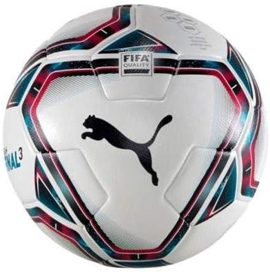PUMA teamFINAL 21.3 FIFA Quality Ball NFHS