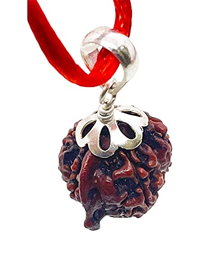 Image of Siddha Pure Ganesha Rudraksha, Laboratory Certified, Carefully Capped with Silver Between Nepalese Beads with Tassel, Size 16mm-22mm, Color-Brown (Ganesh Rudraksha Silver)