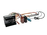 Peugeot: todos los modelos con most Conector
