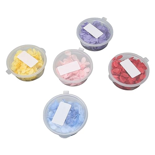 Pacote de 5 Flores de Hortênsia Prensadas Secas Com Textura Requintada para Fabricação de Joias, Art