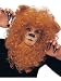 LION MANE HAIR PIECE