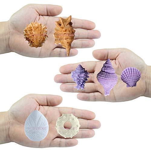 Seashell Sea Urchin Candy Silicone Molds For Fondant Cake Decoration, Cupcake Topper, Chocolate, Soap, Polymer Clay, Resin Epoxy, Concrete, Cement, Plaster Craft Projects 7-In-Set Large #TOP4